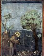 GIOTTO di Bondone Sermon to the Birds oil painting on canvas
